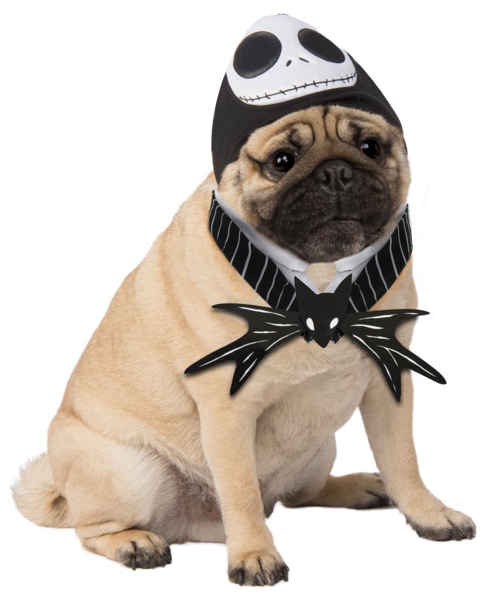 Neck piece and and headpiece