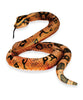 Orange & Brown Python 118in Plush Toy | Real Planet