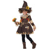 Straw accented Scarecrow