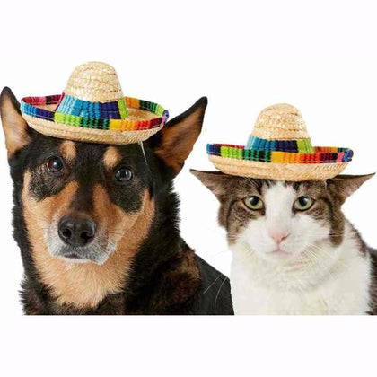 Pet Sombrero