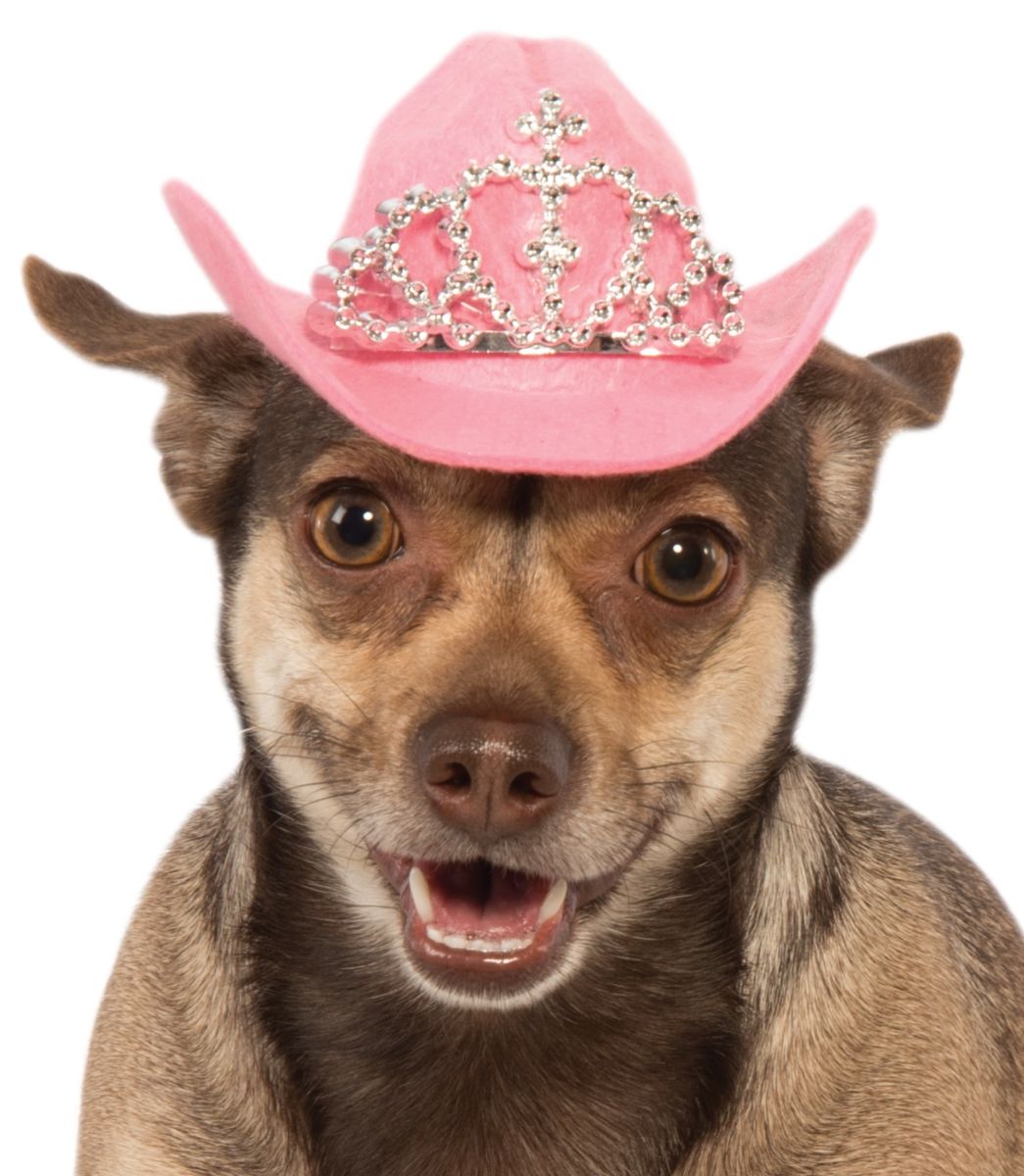 Pet Tiara Pink Cowboy Hat