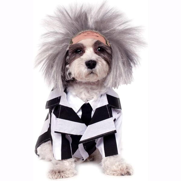 Beetlejuice Costume | Pet