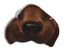 Brown puppy nose with elastic strap