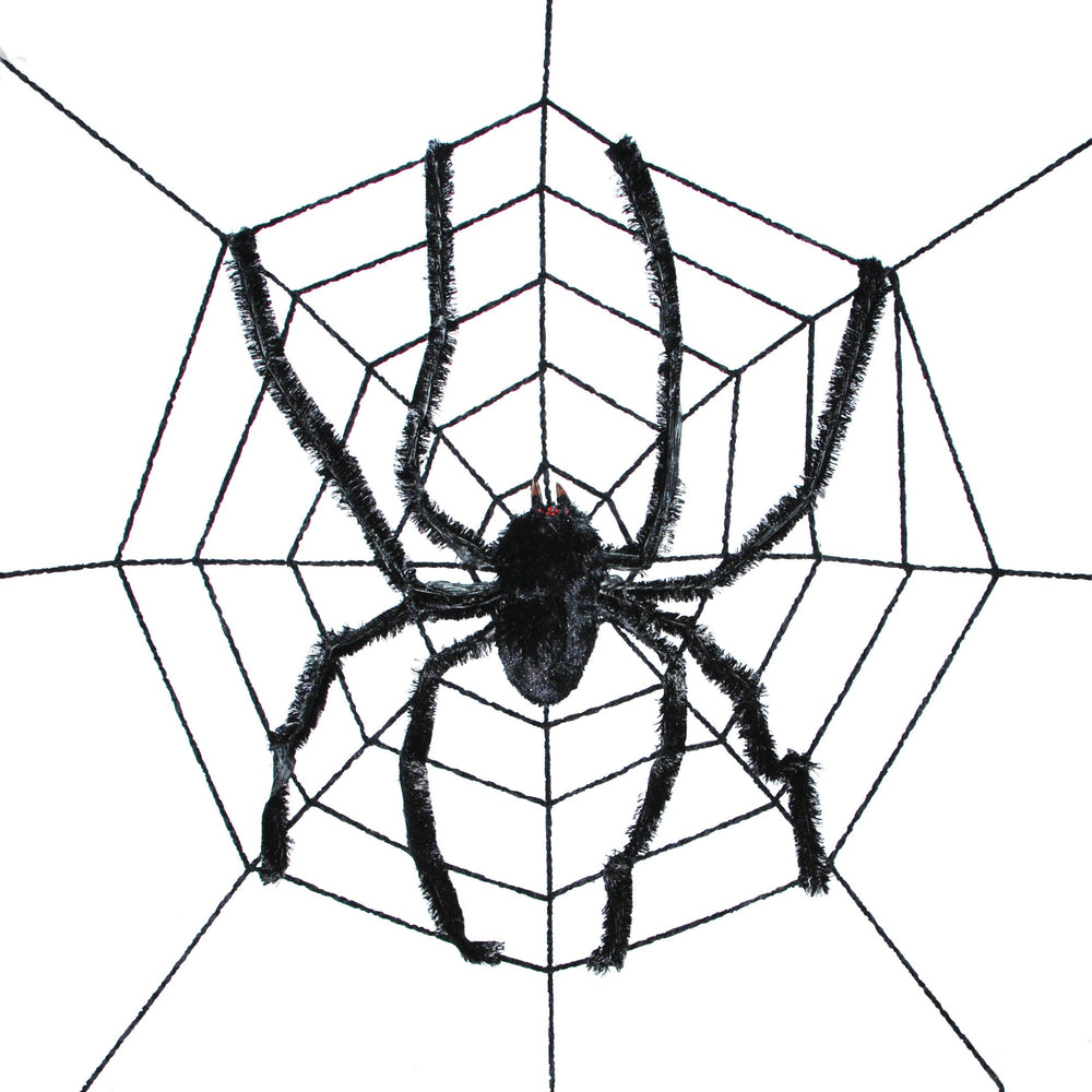 spider and web