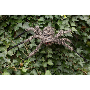 Fuzzy 30 inch Creepy Crawler