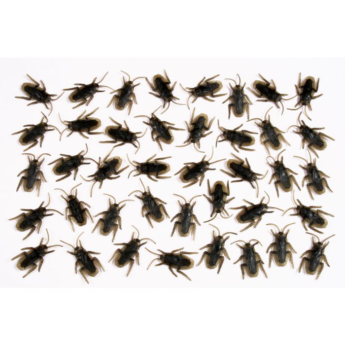 Bag of Bugs