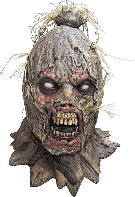 Hay like material attached to mask