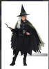 Black and Green Witch Costume