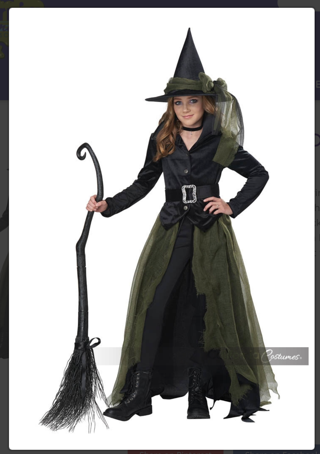 Black and Green Witch Costume