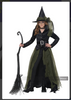 Black and Green Witch Costume