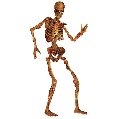 Skeleton Jointed Cutout 6ft