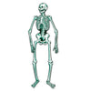Skeleton Jointed Cutout