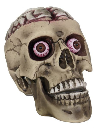 Skull With Bloody Brain | Halloween
