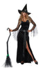 Sheer Sleeved V-Neck Black Witch Dress