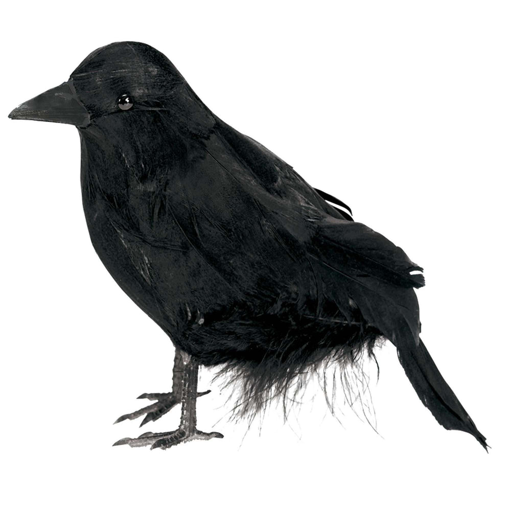 crow