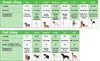 dog size chart