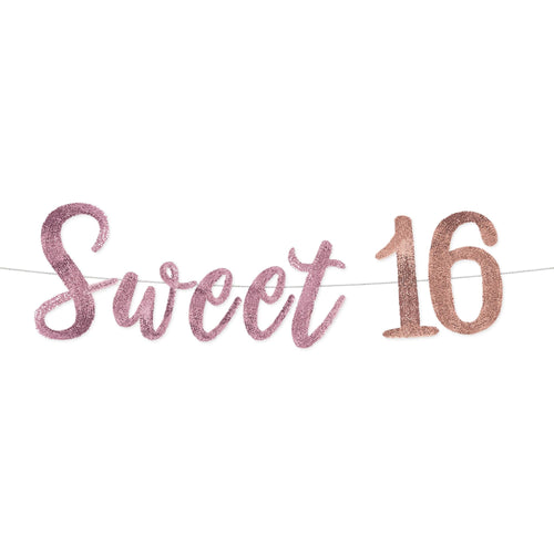 Sweet Sixteen Sequin Banner