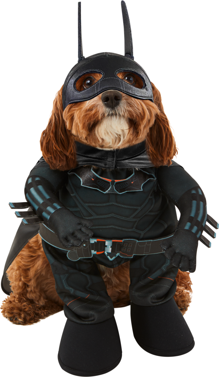 batman dog costume