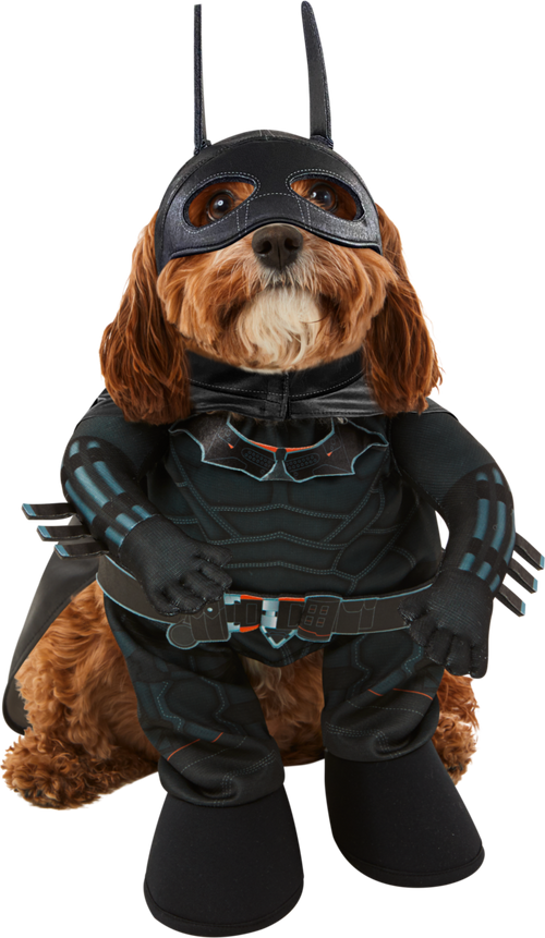 batman dog costume