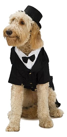 Black felt top hat with strap