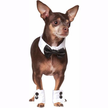 Velcro bow tie and four pet cuffs