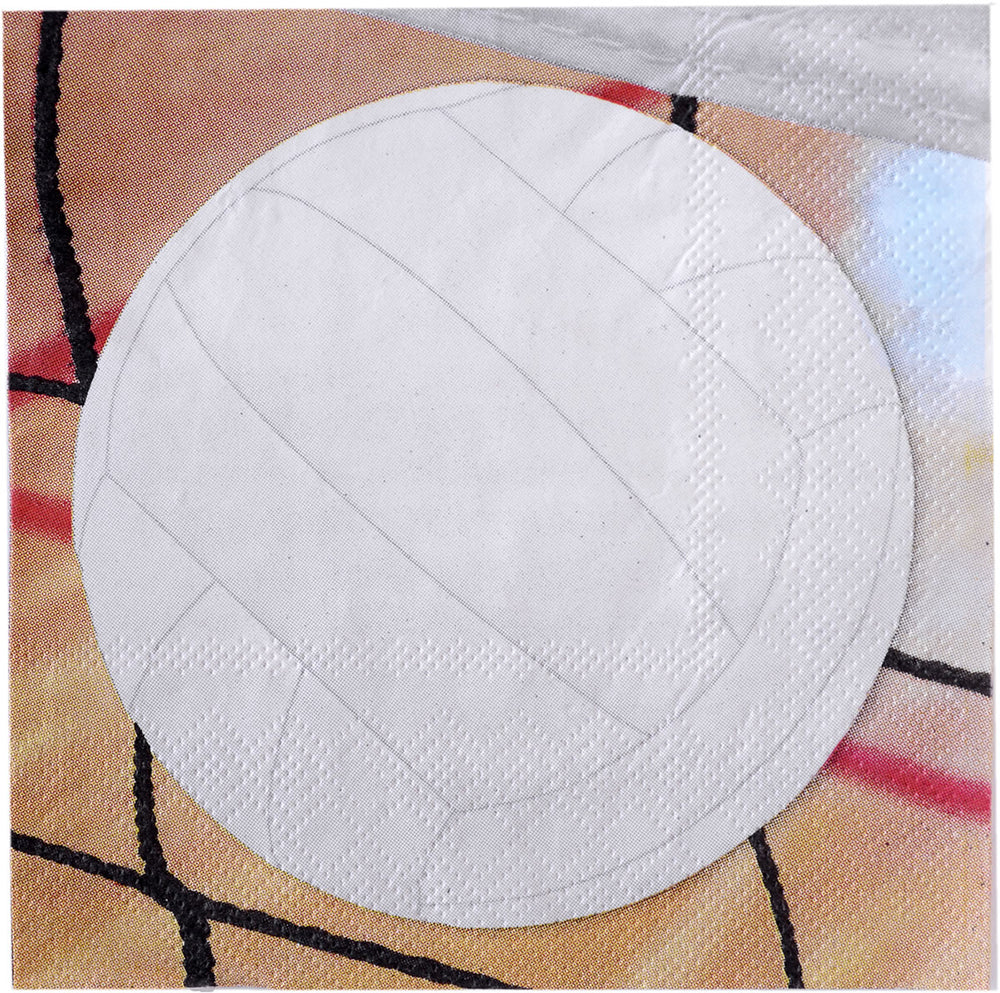 Volleyball Beverage Napkins 16ct | Sports