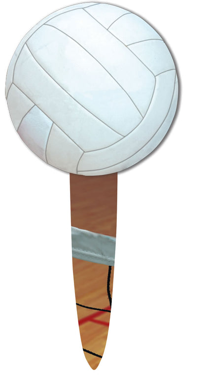 Volleyball Party Picks 24pk | Sports