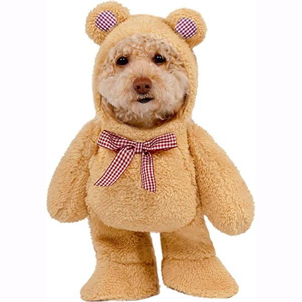 Step in Teddy Bear