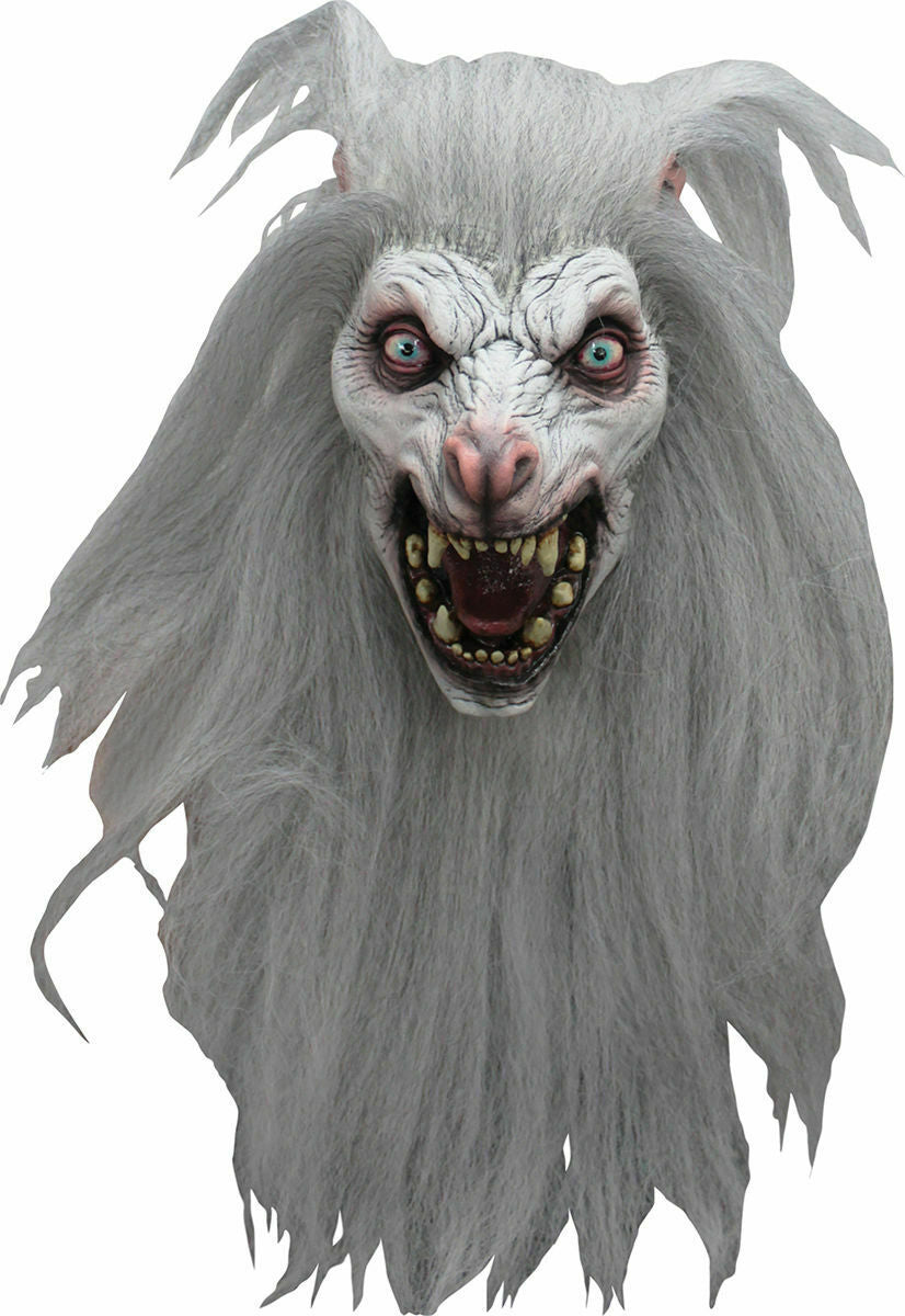 Full mane of white wolf hair