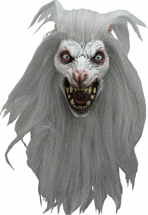Full mane of white wolf hair