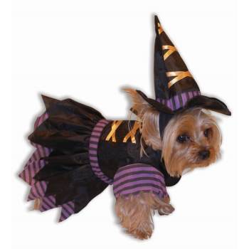 Witch Pet Costume