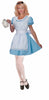 Dress, headband and apron included