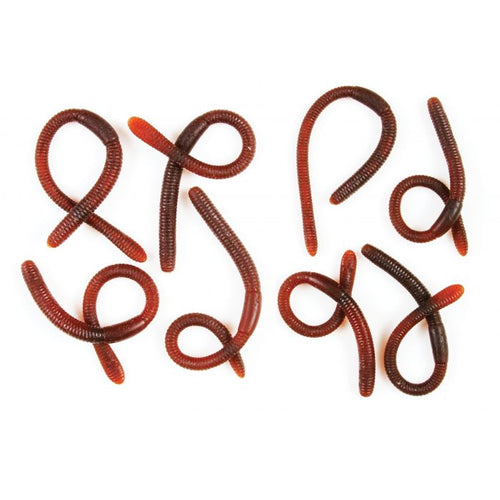 Squirmy Worms