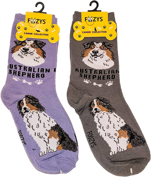 Australian Shepherd Canine | Socks