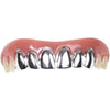 Insane Platinum Teeth -Billy Bob Teeth SS2P