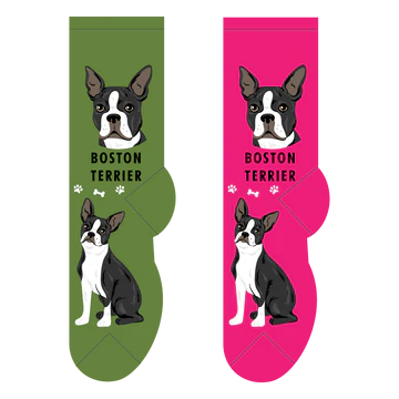 boston terrier socks