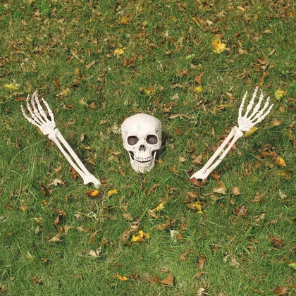 buried skeletons
