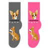 Chihuahua Socks FCC-09