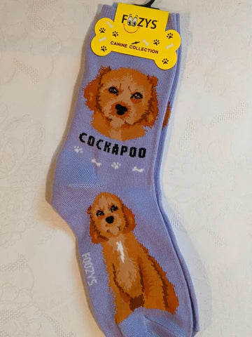 Cockapoo Canine | Socks