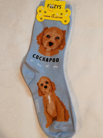 Cockapoo Canine | Socks