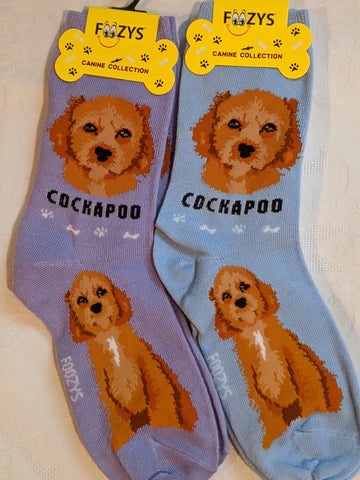 Cockapoo Canine | Socks