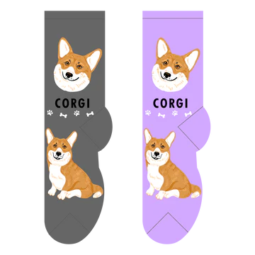 Corgi Canine | Socks