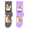 Corgi Canine | Socks