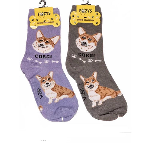 Corgi Canine | Socks