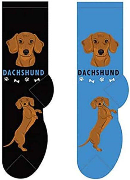 Dachshund Canine | Socks