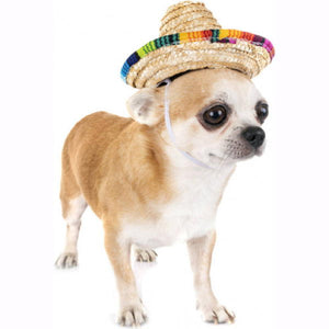 Sombrero | Pet
