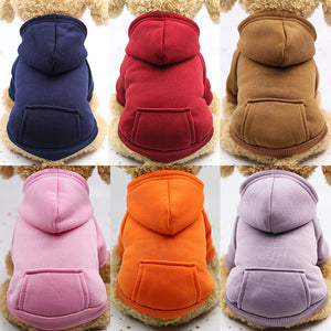 Dog Hoodie | Orange