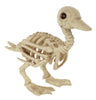 Duck Skeleton | Halloween