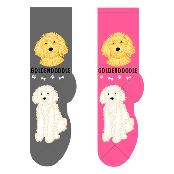 golden doodle