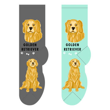 Golden Retriever Canine | Socks